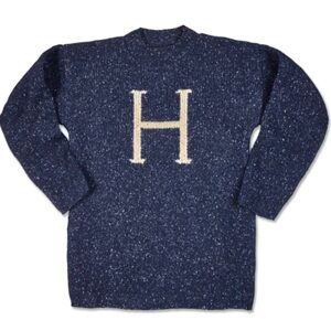 H is for Harry The Wizarding World of Harry Potter Wool Sweater Adult XS